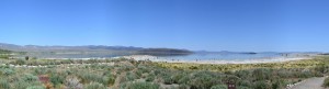 Mono Lake_001