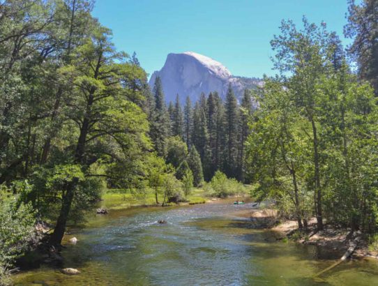 10. Tag - von den Yosemite Falls bis zu Mariposa Grove